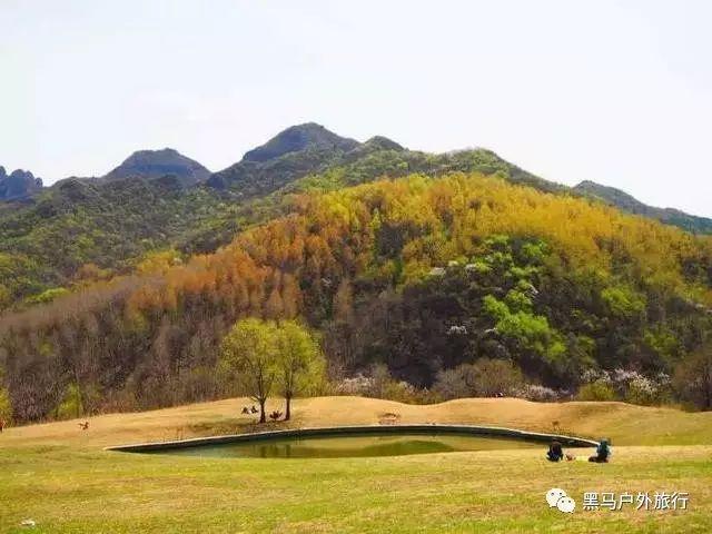河洛群侠传
